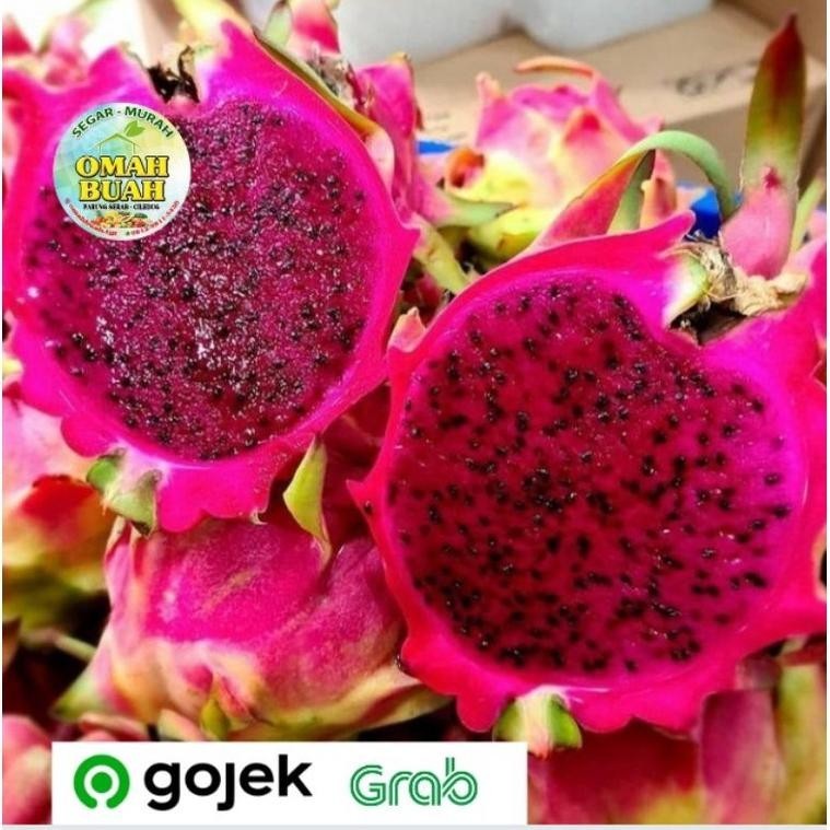 

Buah Naga Merah Manis 500 Gram-1 Kg