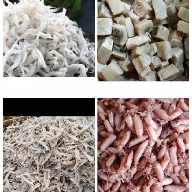 

Ikan Asin Jambal Roti / Peda Merah / Cumi Asin / Ebi / Teri Nasi Medan / Teri Jengki