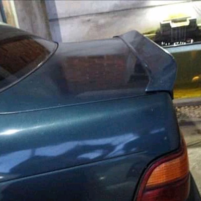 Ducktail Great Corolla Tebal