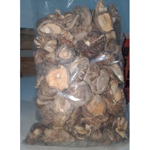 

Ikps Shiitake Mushroom Uk. 3-4-5-6 Cm Jamur Shitake/Hio Kou Bal (3 Kg)