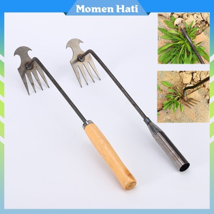 Ready Alat Pencabut Rumput Liar Digunakan Di Rumah Pencabut Rumput Paving