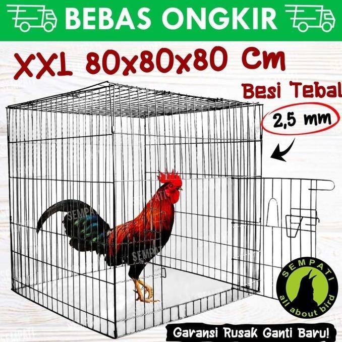 Sangkar kandang besi galvanis kotak kurung kurungan ayam laga aduan
