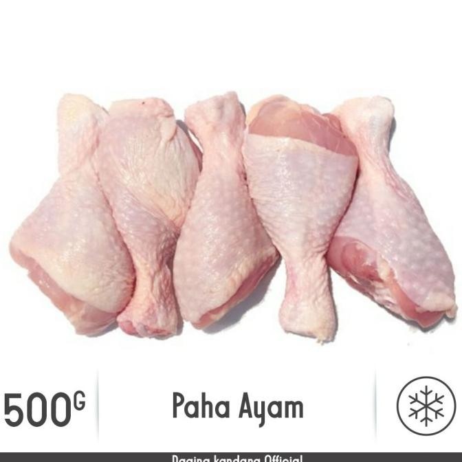 

PAHA AYAM PENTUNG DRUMSTICK | DAGING KANDANG