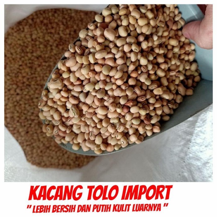 

LIMITED EDITION Kacang Tolo Tunggak 1 KG kilo Fresh