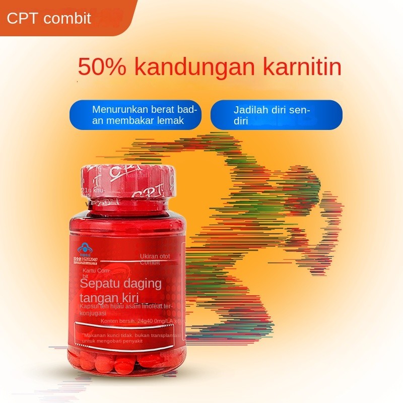 L-Carnitine Fat-Reducing and Slimming Body Conditioning/Slimming Waist Slimming Slimming Leg