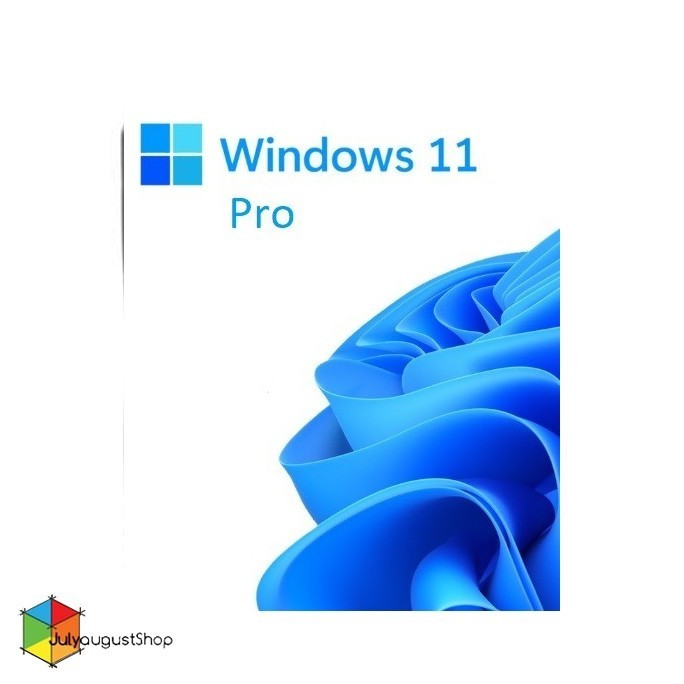 Windows 11 Pro (Original)