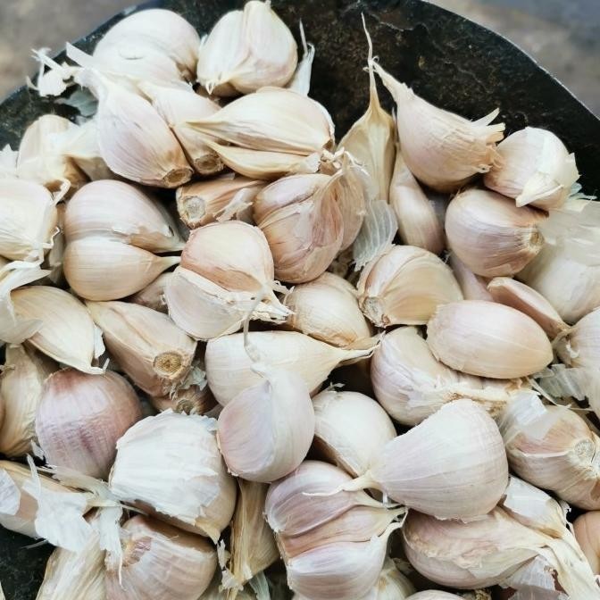 

Bawang Putih Kating Bersih 20kg