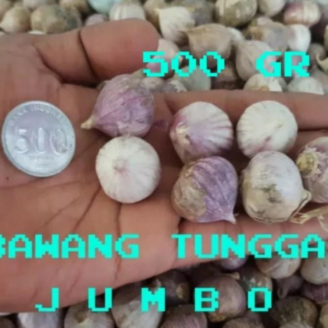 

BAWANG PUTIH TUNGGAL/BAWANG LANANG 500GRAM