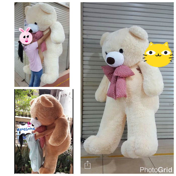 Boneka Teddy Bear Beruang Besar Giant 2 Meter
