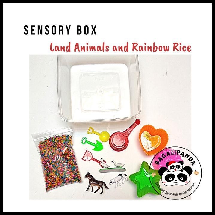 

BEST DEAL SENSORY BOX BERAS WARNA WARNI !!!!!!!