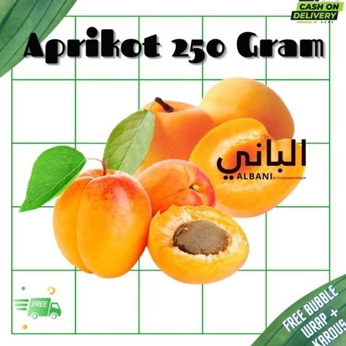 

Aprikot Kering Organik Premium 250 Gram / Dried Apricot Apricots DS76