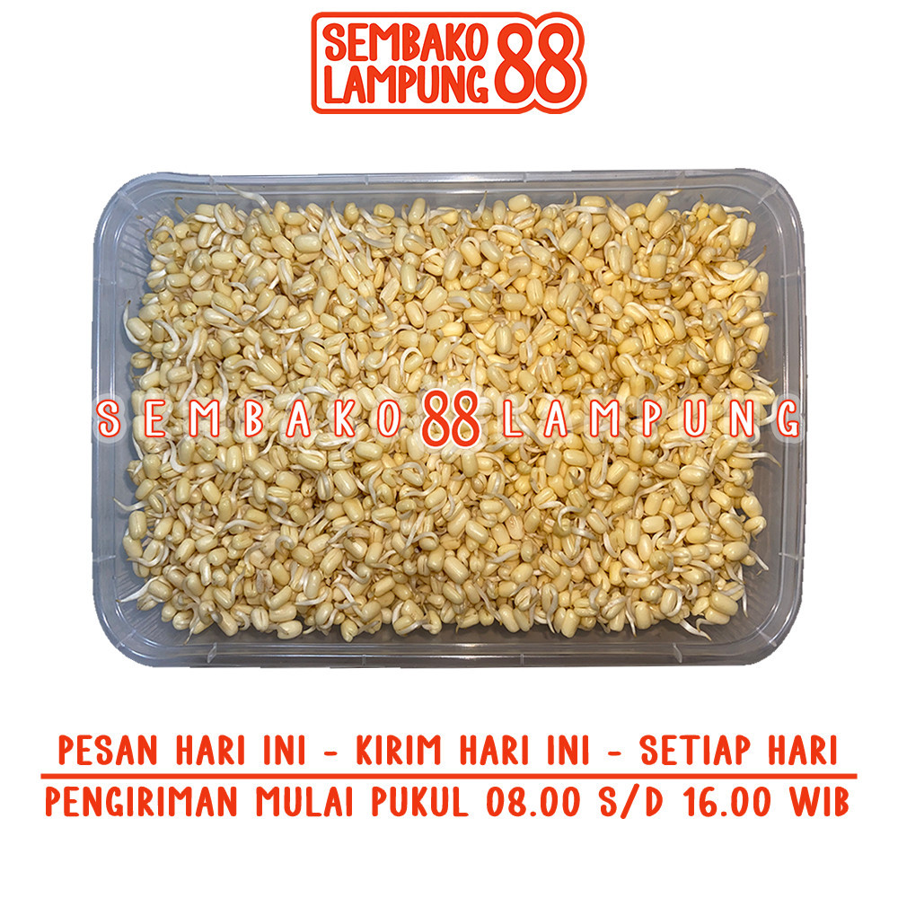 

Tauge/Toge Soto 250 Gr | Sembako Lampung 88