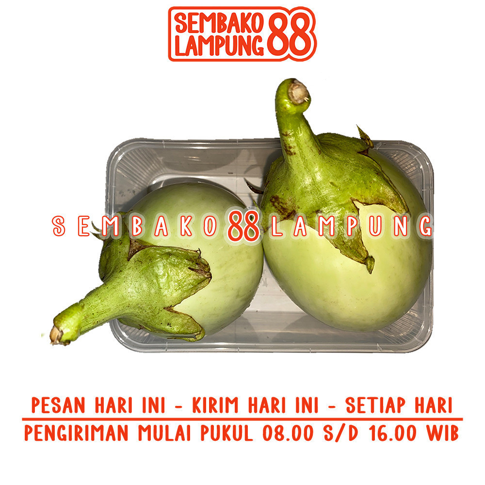 

Terong Pondoh 500 Gr | Sembako Lampung 88