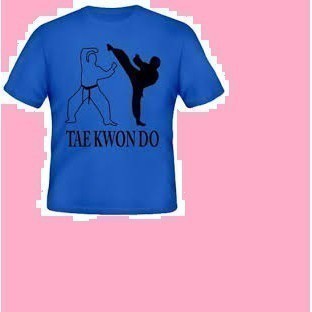 Kaos T Shirt Pria Taekwondo