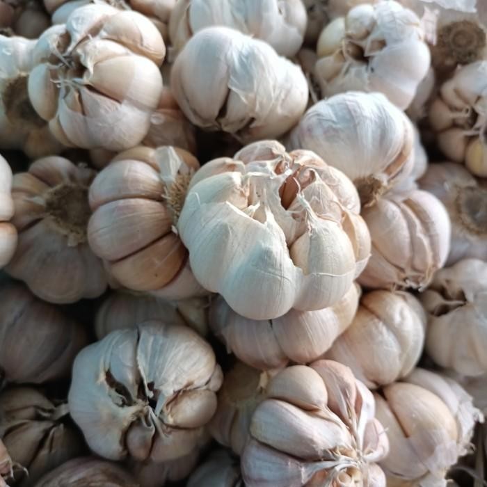 

Bawang Putih Sinco 1Kg Promo Murah Berkwalitas Barbosa