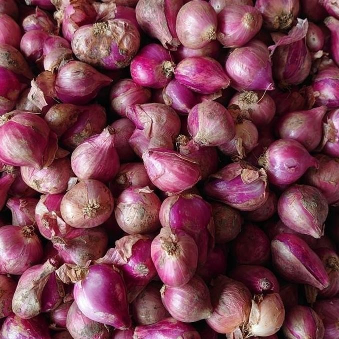 

TERMURAH Bawang Merah Sedang 1 Kg Berkwalitas Kering - Shuffel BAGUS