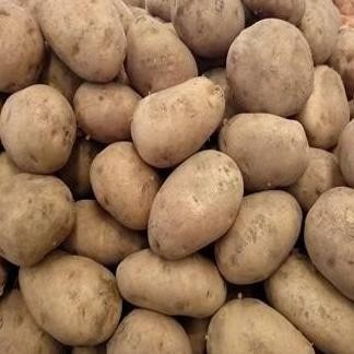 

BERKUALITAS Kentang Dieng Medium 1Kg Promo Murah - Shuffel MURAH