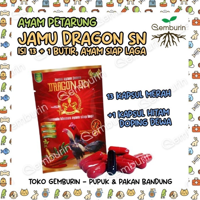 Jamu Ayam Dragon Sn 13 + 1 Kapsul Doping Dewa Sasana Ngapak Formula Khusus Ayam Laga Jago Tarung Adu