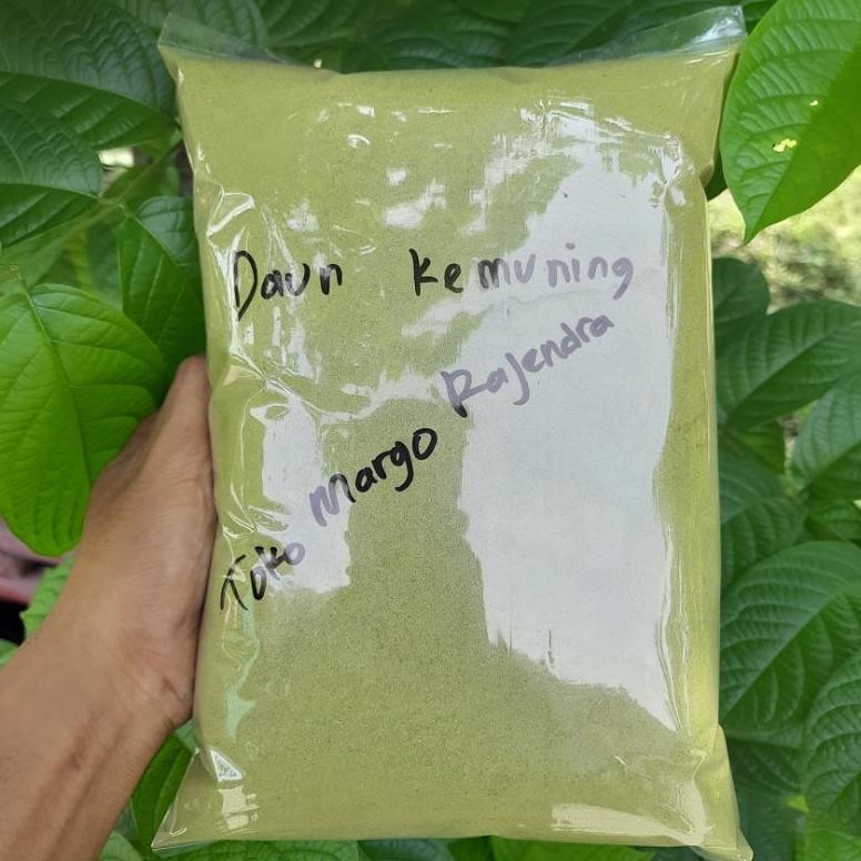 

SERBUK BUBUK DAUN KEMUNING ISI 1KG RO18