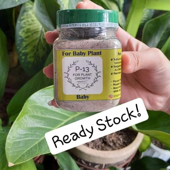 Pupuk P13 BABY / ANAKAN Om Justin