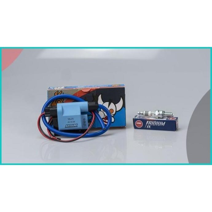 Paket Koil USR Busi NGK Iridium IX All New NMAX 2020 All New Aerox 155