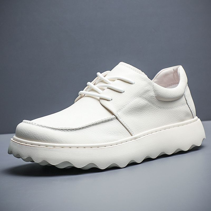 Spatu Pria2024Sepatu Kasual Musim Semi Baru Tods Sepatu Gaya Trendi Semua Cocok Sol Tebal Tahan Aus 