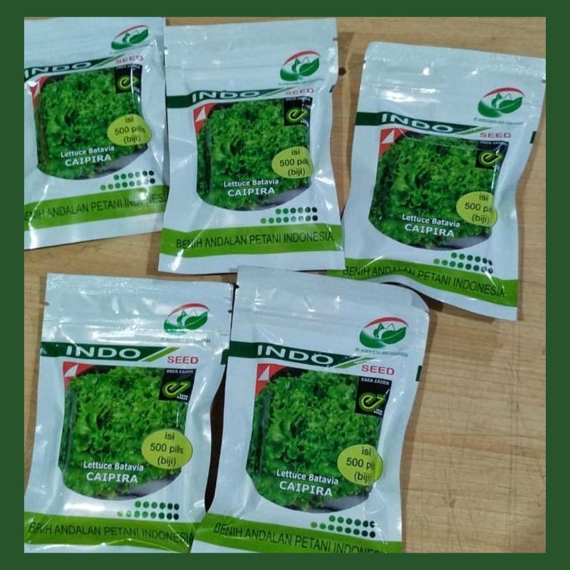 (READY) BENIH SELADA BATAVIA CAIPIRA 500 PILLS ENZA ZADEN INDO SEED