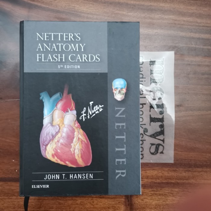 Terbaru Netter Anatomy Flash Card Promo Terlaris