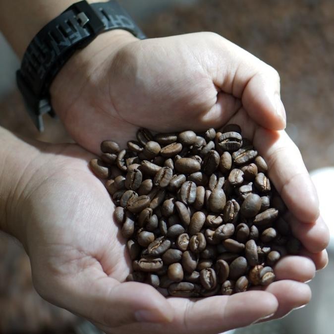 

Roasted Beans Kopi Arabica Mandailing Premium | 1000 Gram