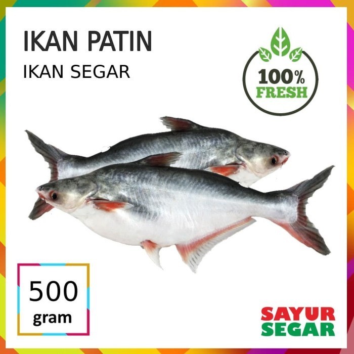 

[CIBUBUR] IKAN PATIN [500g]