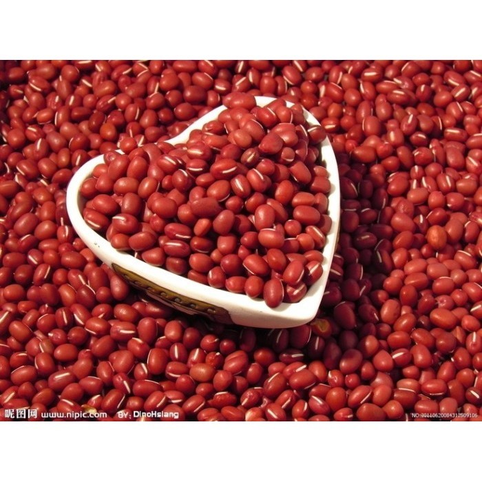 

Adlian Kacang Merah Adzuki 500 Gram / Red Bean Adzuki 500 Gram