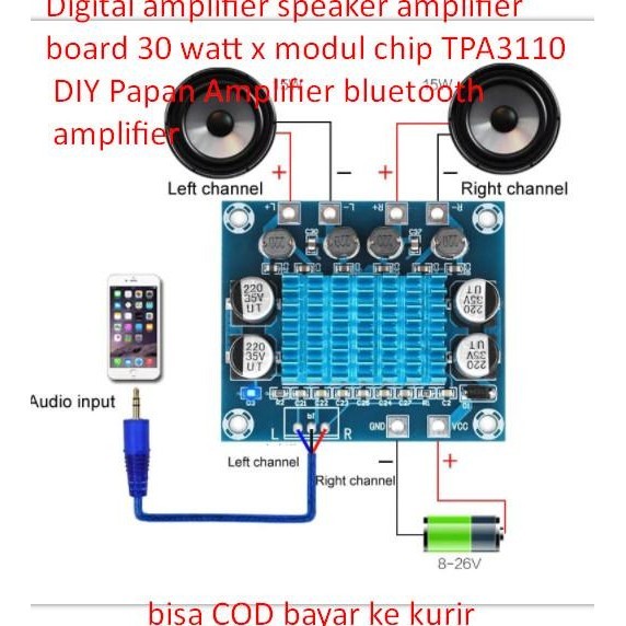 Digital Amplifier Speaker Amplifier Board 30 Watt X Modul Chip Tpa3110