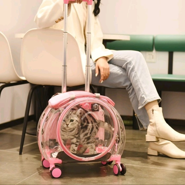 

Troli Kucing Tas Minimalis