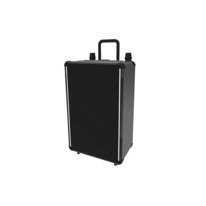 

Portable Karaoke Speaker Best Quality