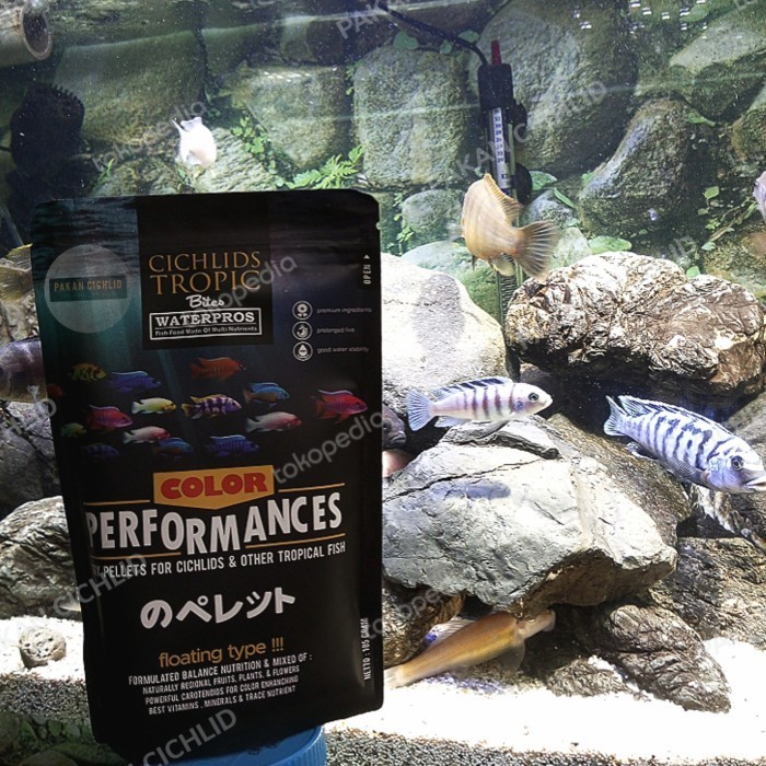 [PAKAN CICHLID] PELET IKAN WATERPROS PUMP PERFORMANCE 185 GRAM