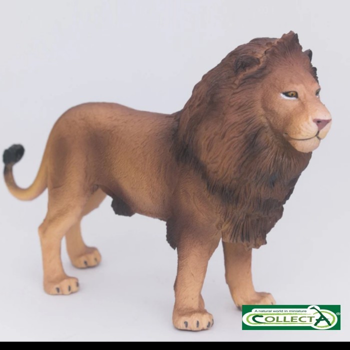 Collecta Lion Animal Figure Singa