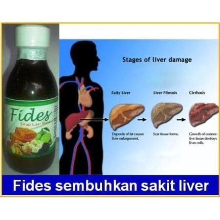 

Sirup Fides Herbal, Sano 300Ml