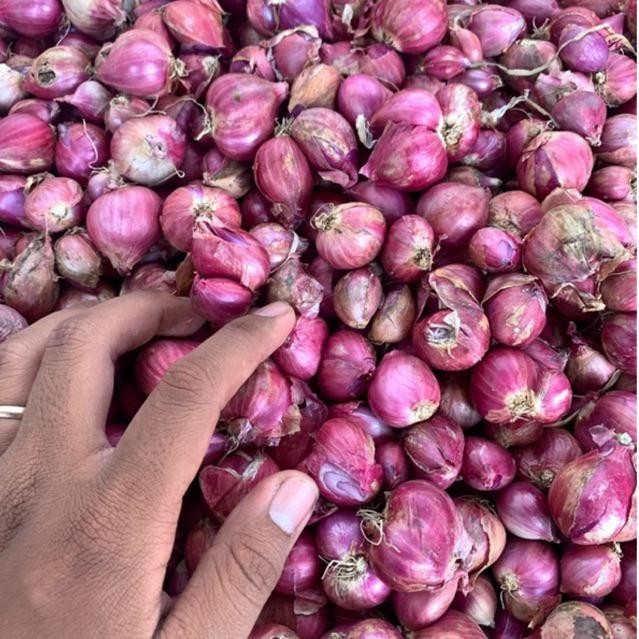 

BAWANG MERAH PROBOLINGGO 1 KG Kualitas Terbaik