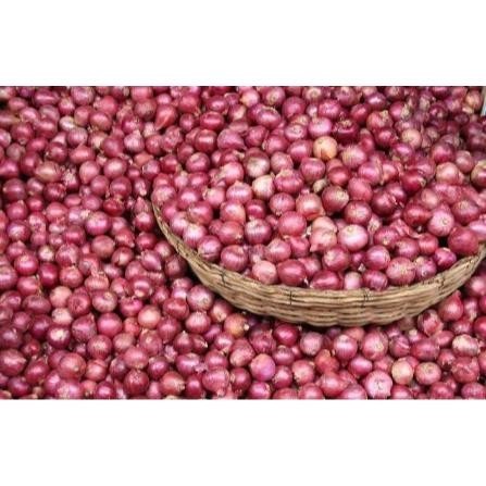 

Bawang Merah Besar Sedang 1Kg Super Kering Brambang Berkualitas Super Besar Berkualitas