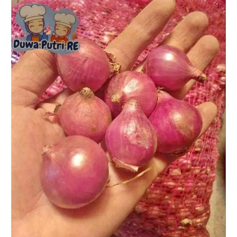 

bawang merah 1kg bm garut Super Besar Berkualitas