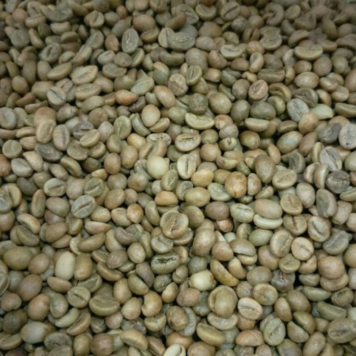 

Ready READY! Green Bean Kopi Robusta Lampung / Robusta Coffee / Biji Kopi