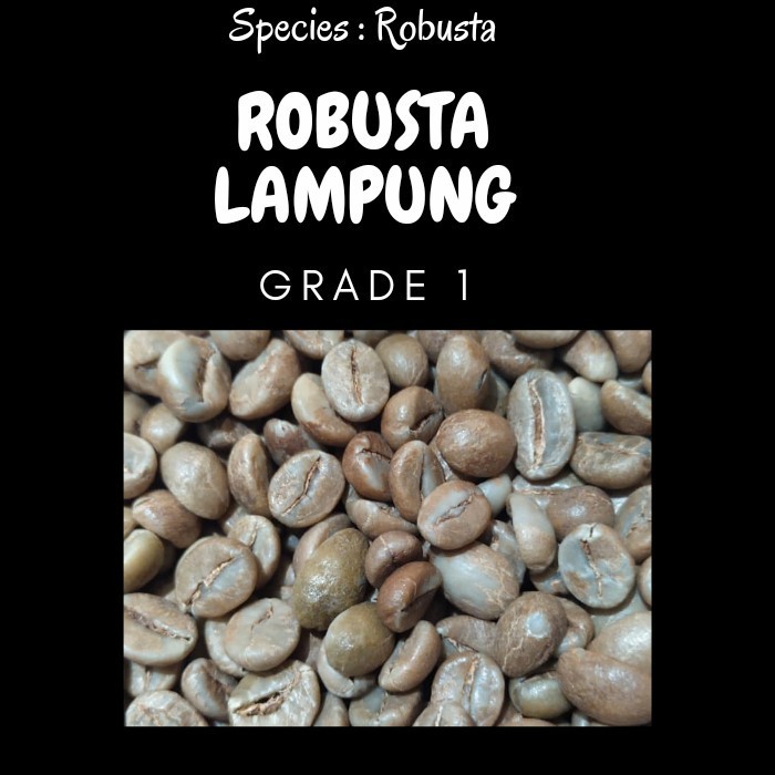 

Ready Green bean ROBUSTA Lampung - Fine ROBUSTA 1kg