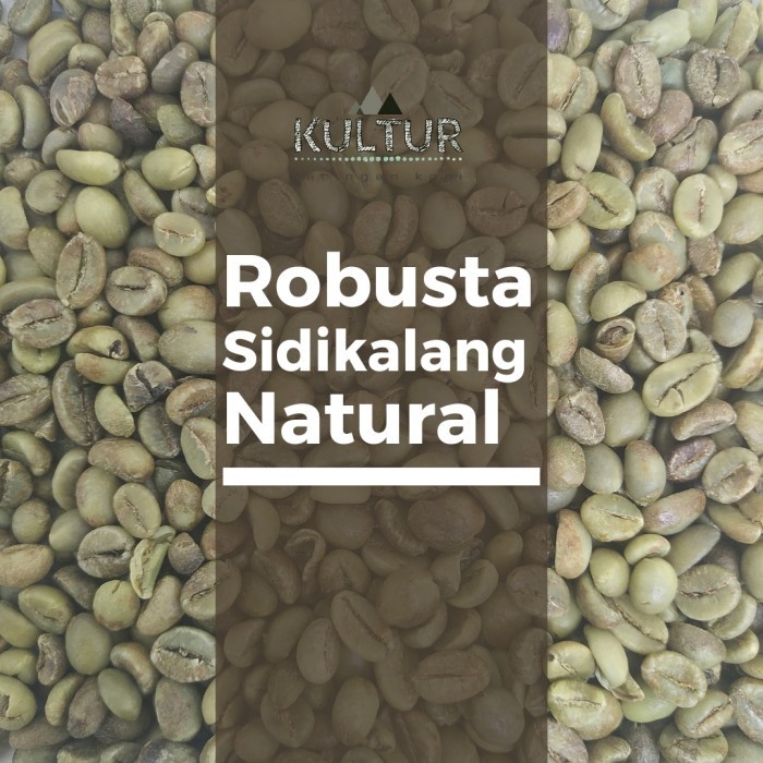 

Ready GREEN BEAN ROBUSTA SIDIKALANG SUMATERA NATURAL BIJI KOPI MENTAH