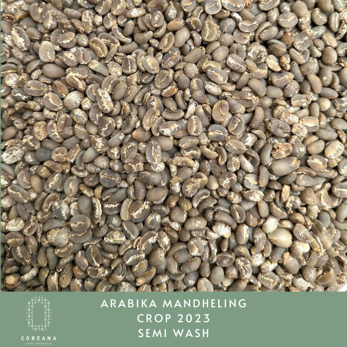 

Ready Biji Kopi Arabika Mandheling 1kg Greenbean