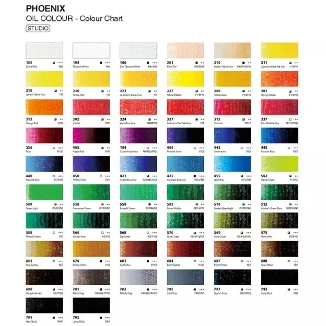 

Phoenix Oil Color 200ml / Picasso 170ml K01