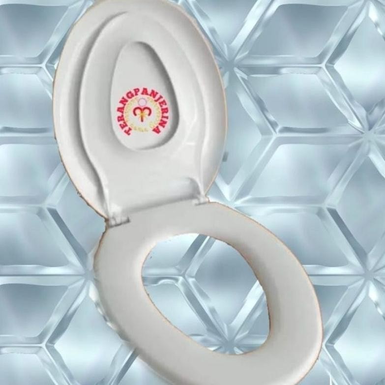 {PROMO} Tutup Kloset duduk techplas putih twin one sw420jp