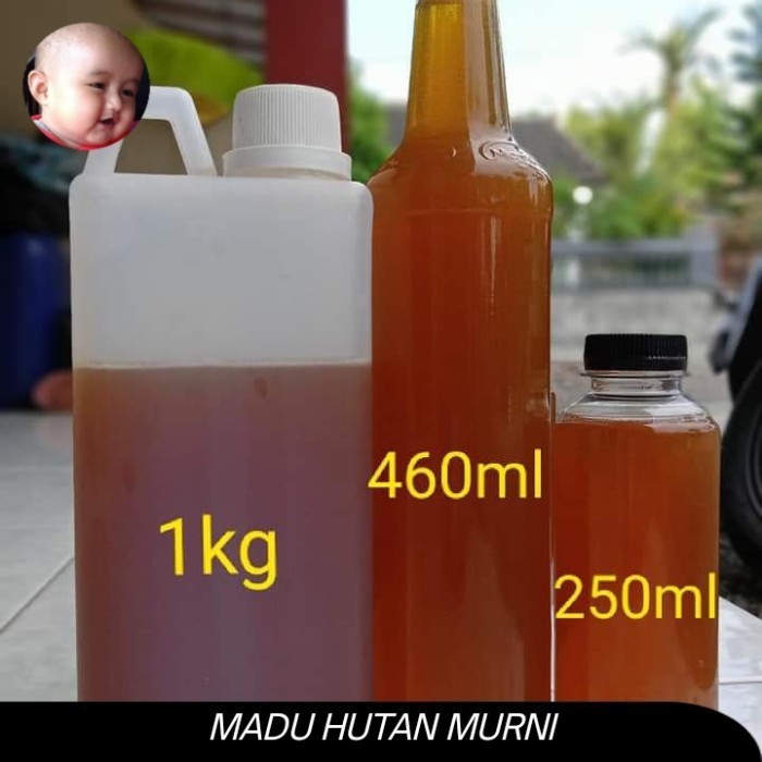 

madu hutan apis dorsata asli