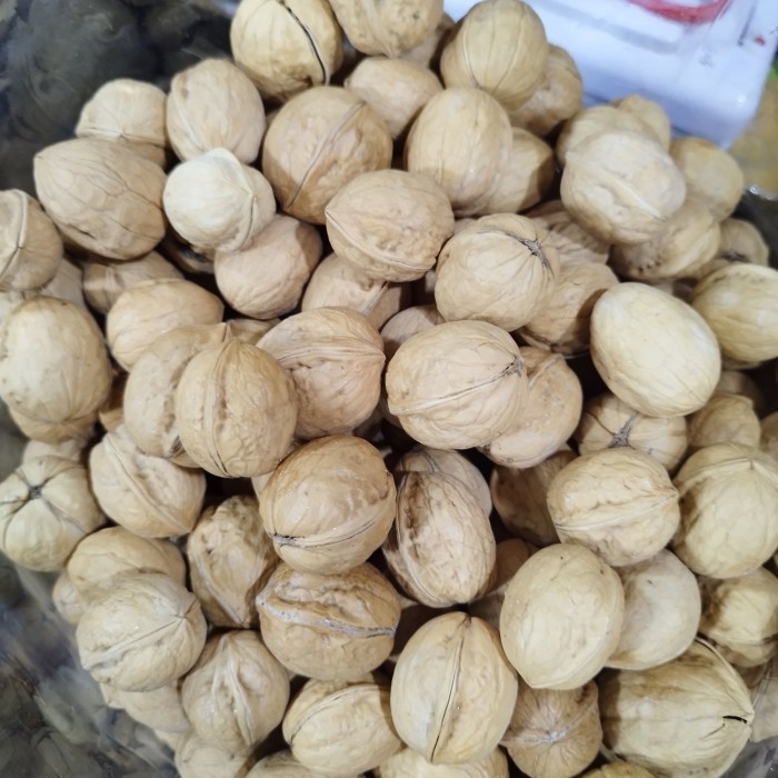 

kacang walnut panggang 1kg