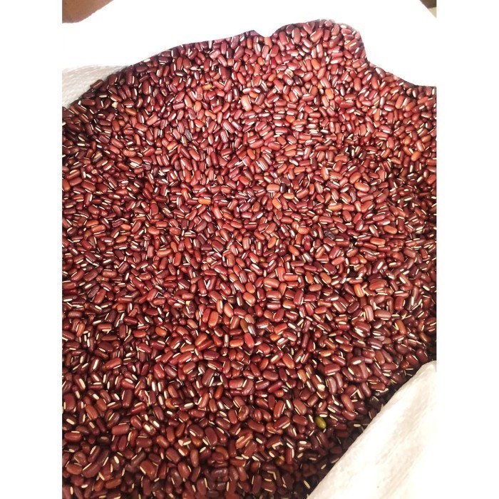 

Kacang Merah Kecil / Kacang Es Import 1 Kg In Stock