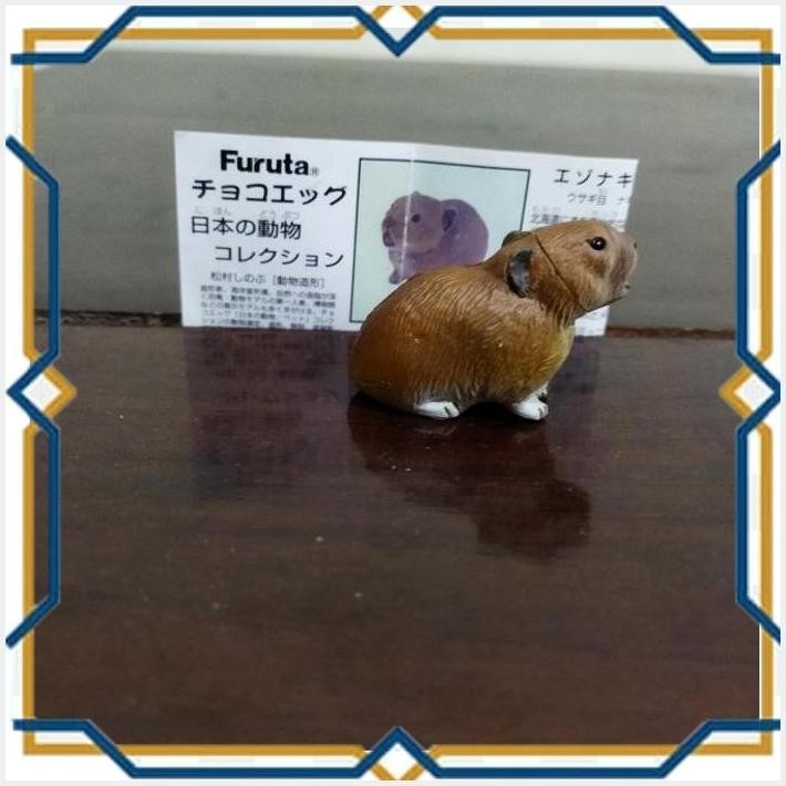 

[jsh] kelinci coklat. furuta. loose